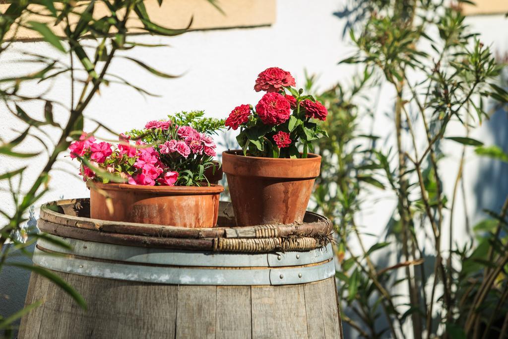 Pension Julia & Haus Elisabeth - Wallner'S Hofheuriger & Weinhof メルビッシュ・アム・ゼー エクステリア 写真
